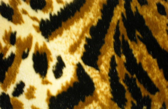 3.Brown-Black Tiger Velvet